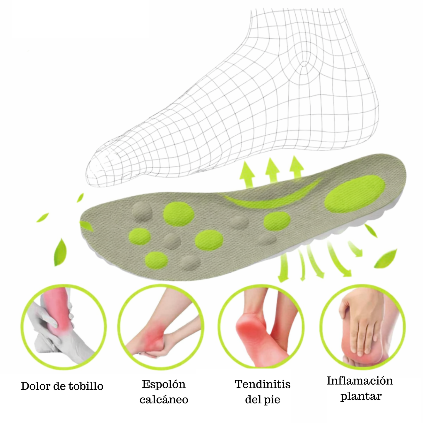 Plantillas Softy – Alivio Real para Fascitis Plantar